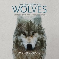 The Wisdom of Wolves: Lessons from the Sawtooth Pack - Jim Dutcher, Jamie Dutcher
