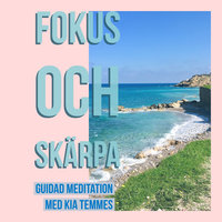 Fokus och Skärpa - Hljóðbók - Kia Temmes - Storytel