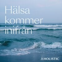 14. Fokus och flow - Holistic Sweden AB