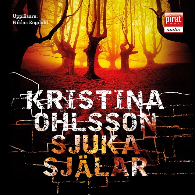 Kristina Ohlsson - Sjuka själar