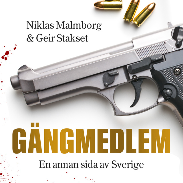 Niklas Malmborg, Geir Stakset - Gängmedlem : en annan sida av Sverige