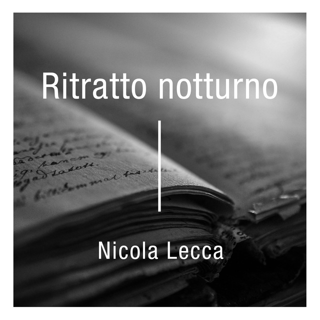 Nicola Lecca - Ritratto notturno