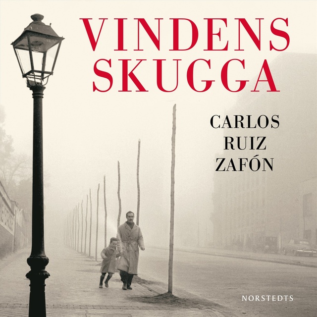 Carlos Ruiz Zafon - Vindens skugga