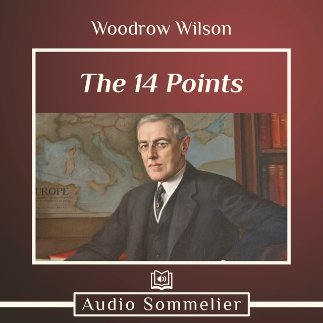 14 points. Вудро Вильсон книги. 14 Points of Woodrow Wilson. Георг Келлер. Woodrow Wilson's arbitrary decision.