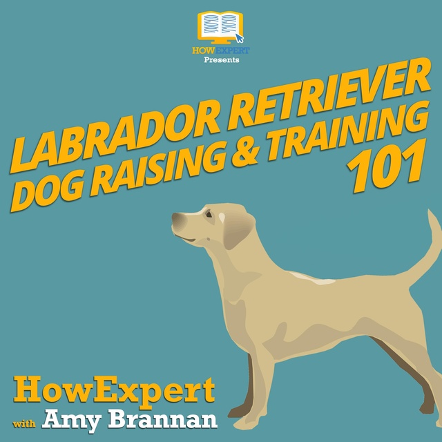 Labrador hot sale retriever 101