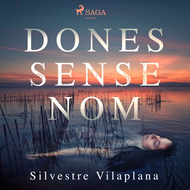 Dones sense nom - Audiolibro - Silvestre Vilaplana - Storytel