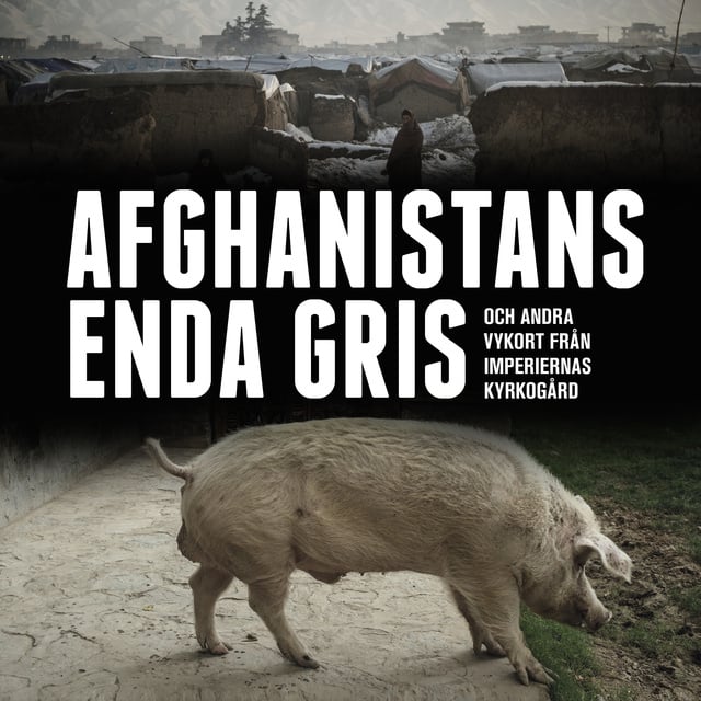 Ivar Andersen - Afghanistans enda gris : och andra vykort från imperiernas kyrkogård