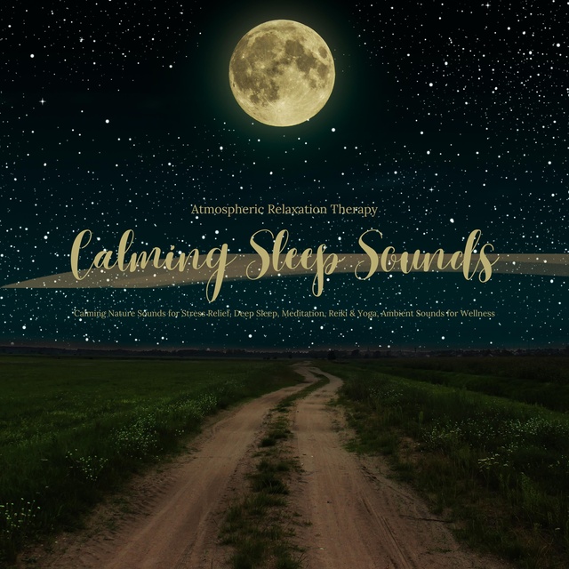 Calming Sleep Sounds - Ambient Relaxation Therapy - Calming Nature Sounds:  Stress Relief, Deep Sleep, Meditation, Reiki & Yoga, Ambient Sounds for  Wellness - Audiobook - Ambient Relaxation Therapy - Storytel