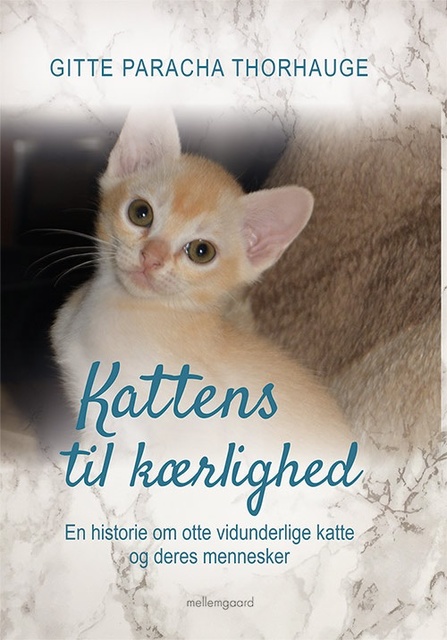 Kattens til kærlighed: En historie om otte vidunderlige katte og deres  mennesker - E-bok - Gitte Paracha Thorhauge - Storytel