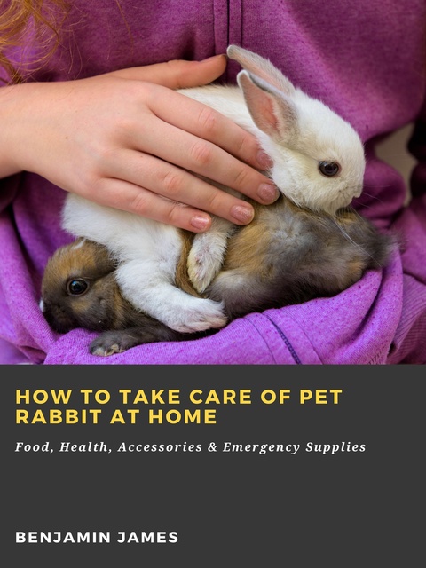 Emergency best sale rabbit vet